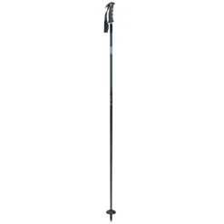 Swix Excalibur Ski Poles 21-22