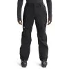 The North Face Freedom Pant 2023 -Obermeyer Shop The North Face Freedom Pant 22 23 S 1