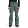 The North Face Freedom Insulated Womens Pant 21-22 -Obermeyer Shop The North Face Women s Freedom Insulated Pant 21 22 BGRN 1
